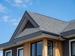 Roof detail
